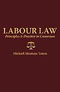 Couverture cartonnée Labour Law de Michael A. Yanou