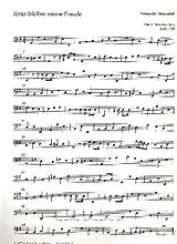 Johann Sebastian Bach Notenblätter Jesus bleibet meine Freude Choral