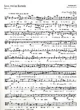 Johann Sebastian Bach Notenblätter Jesu meine Freude BWV227