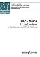 Karl Jenkins Notenblätter BH13433 In caelum fero