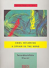 Chiel Meijering Notenblätter A Straw in the Wind für Tenorblockflöte und
