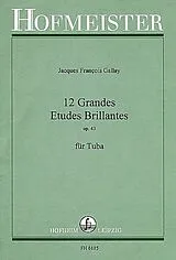 Jacques Francois Gallay Notenblätter 12 grandes études brillantes op.43