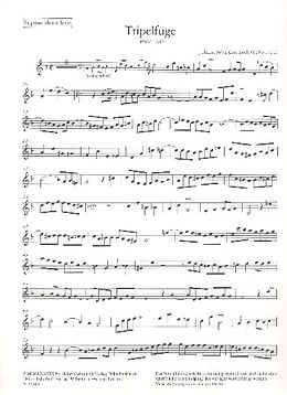 Johann Sebastian Bach Notenblätter 2 Fugen aus Die Kunst der Fuge BWV1080