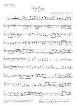 Johann Sebastian Bach Notenblätter 2 Fugen aus Die Kunst der Fuge BWV1080