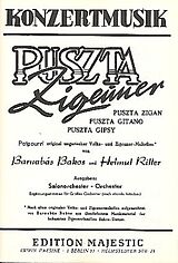 Barnabas Bakos Notenblätter Puszta-Zigeunerfür Salonorchester