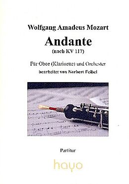 Wolfgang Amadeus Mozart Notenblätter Andante nach KV117