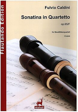 Fulvio Caldini Notenblätter Sonatina in Quartetto op.65/F