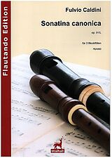 Fulvio Caldini Notenblätter Sonatina canonica op.91/L