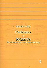 Wolfgang Amadeus Mozart Notenblätter Cadenzas for Mozarts Flute