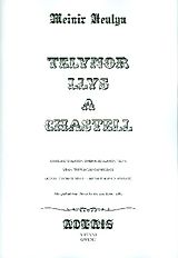  Notenblätter Telynor llys a Chastell