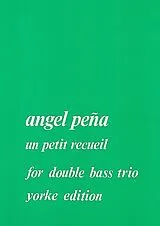 Angel Pena Notenblätter Un petit recueil