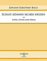 Johann Sebastian Bach Notenblätter Schafe können sicher weiden