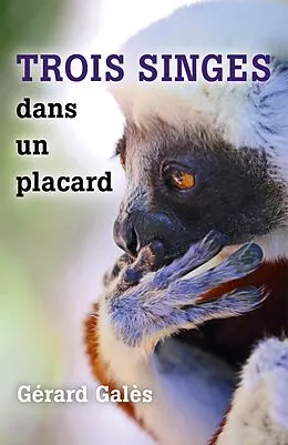 E-Book (epub) Trois singes dans un placard von Gales Gerard Gales