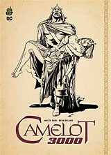 Broschiert Camelot 3000 von Mike W. Barr, Brian Bolland