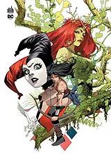 Broschiert Dark knights of steel. Vol. 2. La guerre des trois royaumes von Tom Taylor, Nathan C. Gooden, Yasmine Putri