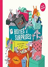 Broschiert Boîtes à surprises von 