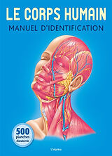 Broché Le corps humain : manuel d'identification : 500 planches d'anatomie de COLLECTIF