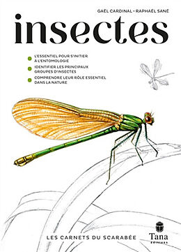 Broché Insectes de Gaël; Sané, Raphaël Cardinal