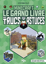 Broché Minecraft : le grand livre des trucs et astuces : un guide non officiel de Stéphane Pilet