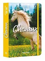 Broschiert Agenda scolaire chevaux 2026-2027 von 