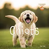 Broschiert Calendrier mural chiots 2027 von 