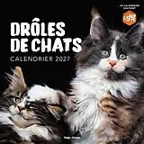 Broschiert Calendrier mural droles de chats von 