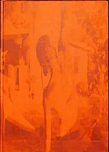 Broschiert Lux von Perret Guillaume