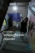 E-Book (epub) Schizoaffective Disorder von Natali Teder