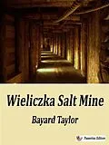 E-Book (epub) Wieliczka Salt Mine, 1850 von Bayard Taylor