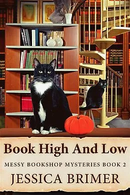 E-Book (epub) Book High And Low von Jessica Brimer