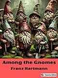 E-Book (epub) Among the Gnomes von Franz Hartmann