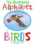 E-Book (epub) The Illustrated Alphabet of Birds von Eve Heidi Bine-Stock