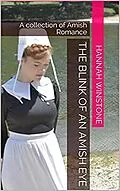 E-Book (epub) Blink of an Amish Eye von Hannah Winstone