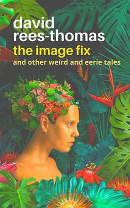 E-Book (epub) The Image Fix von David Rees-Thomas