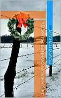 E-Book (epub) Amish Christmas Sylvie's Gift von Meghan Mason