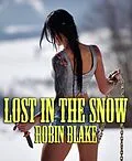 E-Book (epub) Lost In The Snow von Robin Blake