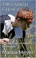 E-Book (epub) Two Amish Choices von Marisa Meyer