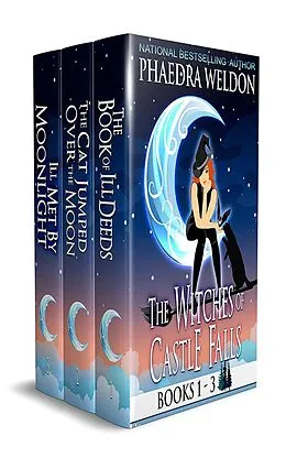 E-Book (epub) Witches of Castle Falls (The Witches Of Castle Falls) von Phaedra Weldon