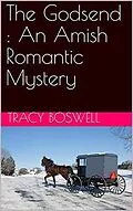 E-Book (epub) The Godsend : An Amish Romantic Mystery von Tracy Boswell