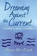 E-Book (epub) Dreaming Against the Current: A Rabbi's Soul Journey von Haviva Ner-David