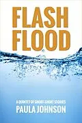 E-Book (epub) Flash Flood von Paula Johnson