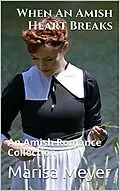 E-Book (epub) When An Amish Heart Breaks von Marisa Meyer