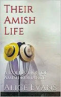 E-Book (epub) Their Amish Life von Alice Evans