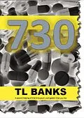 E-Book (epub) 730: Can't Call Me Crazy In Court Without It von Tl Banks