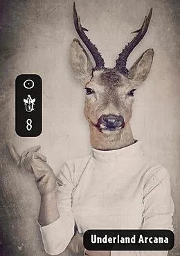 E-Book (epub) Underland Arcana 8 von D. T. O'Conaill, Bonnie Jo Stufflebeam, Joshua Flowers