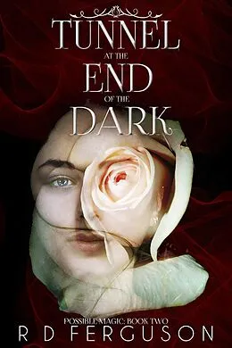 E-Book (epub) Tunnel at the End of the Dark (Possible Magic, #2) von R D Ferguson