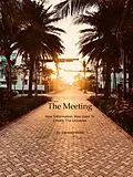 E-Book (epub) The Meeting, How Information Was Used To Create The Universe von Damian Hons