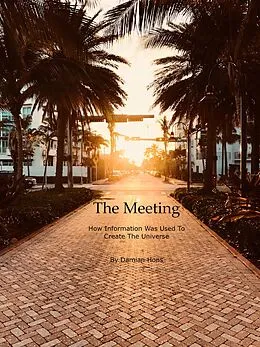 E-Book (epub) The Meeting, How Information Was Used To Create The Universe von Damian Hons