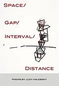 E-Book (epub) Space/Gap/Interval/Distance (Sixteen Rivers Press) von Judy Halebsky