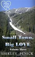 E-Book (epub) Small Town, Big Love - Volume Three (Reading Order Bundle, #3) von Shirley Penick